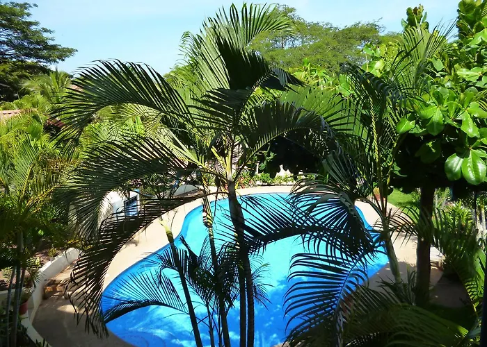 Tropical Dream